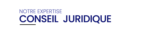 Conseil Juridique LOGIFIN