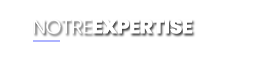 Expertises LOGIFIN