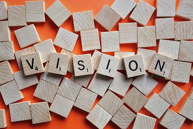 VISION LOGIFIN